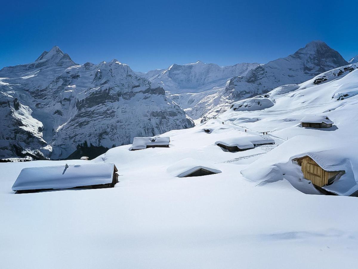 Holiday Home Chalet Reinhysi By Interhome Grindelwald Esterno foto