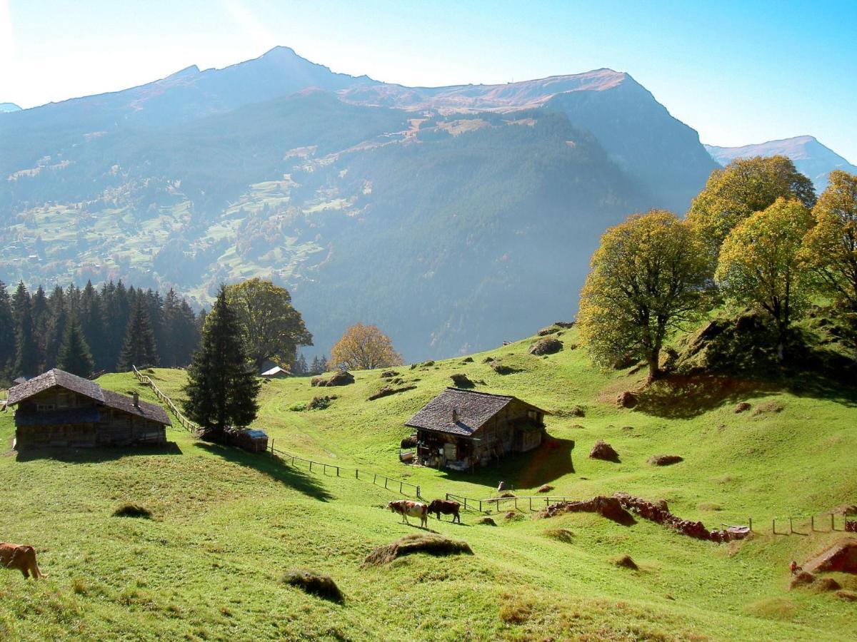 Holiday Home Chalet Reinhysi By Interhome Grindelwald Esterno foto